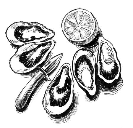 Oysters and knife. Ink black and white drawingの写真素材