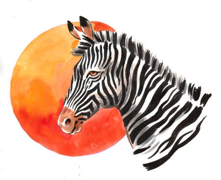 Afrivan zebra and orange sun. Ink and watercolor illustrationの写真素材