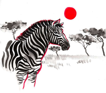 Zebra in African savanna. Ink and watercolor drawingの写真素材
