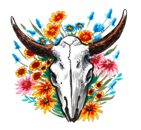 Bison skull and flowers. Ink and watercolor drawingの写真素材