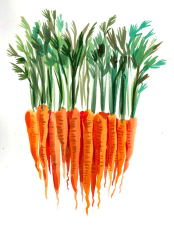 Bunch of carrots. Ink and watercolor drawing