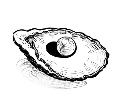 Pearl in the shell. Ink black and white drawingの写真素材