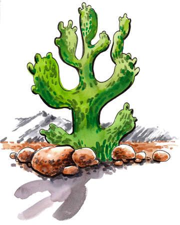 Cactus in Mexican desert. Ink and watercolor drawingの写真素材