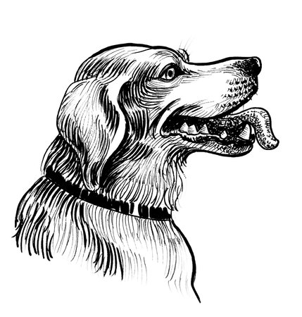 Cute dog portrait. Ink black and white drawingの写真素材