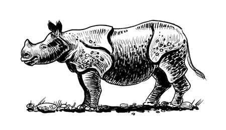 Asian rhinoceros. Ink black and white drawingの写真素材