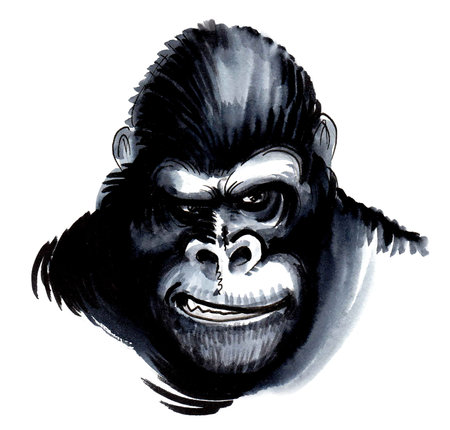 Mad looking gorilla. Ink and watercolor drawing