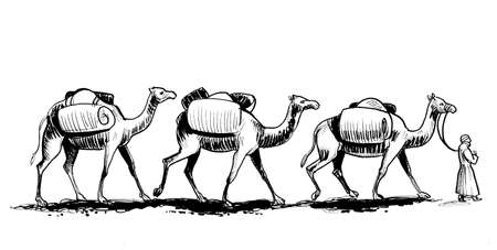 Walking camel caravan. Ink black and white drawingの写真素材