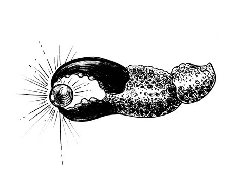 Crab claw holding a pearl. Ink black and white drawingの写真素材