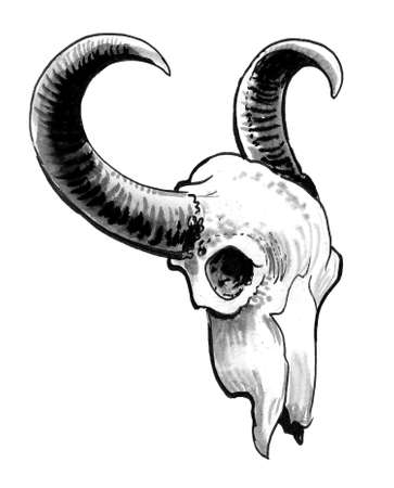 Bull skull. Ink black and white drawingの写真素材