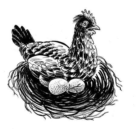 Hen in the nest with eggs. Ink black and white drawingの写真素材