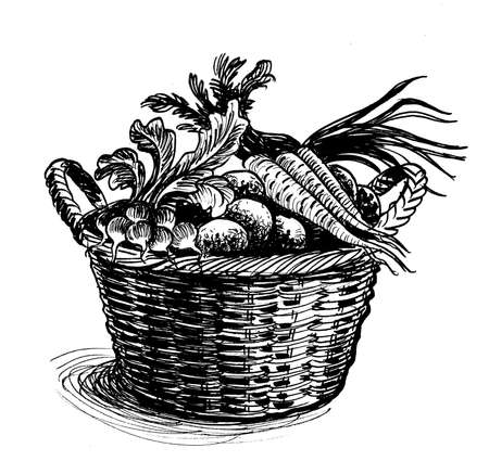 Basket of vegetables. Ink black and white drawingの写真素材