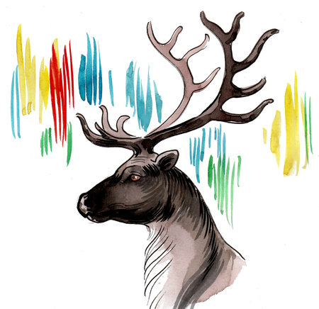 Deer head and aurora. Ink and watercolor drawingの写真素材