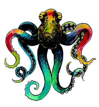 Colorful octopus. Ink and watercolor drawingの写真素材