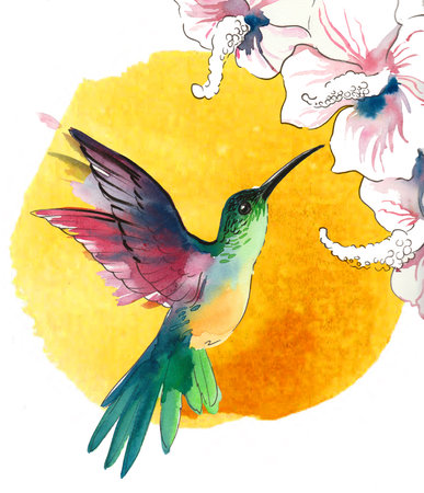 Flying humming bird. Hand-drawn watercolor paintingの写真素材