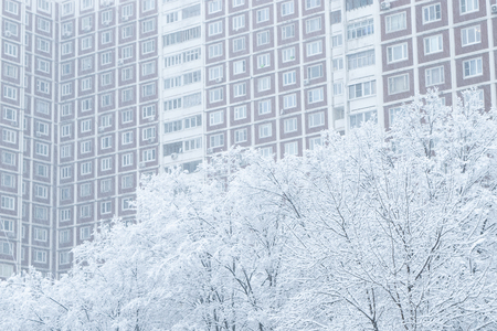 Trees after snowfall near the residential house in Moscow, Russiaの写真素材