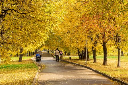 MOSCOW, RUSSIA - OCTOBER 3, 2019: People in walking the autumn Brateevo parkのeditorial素材