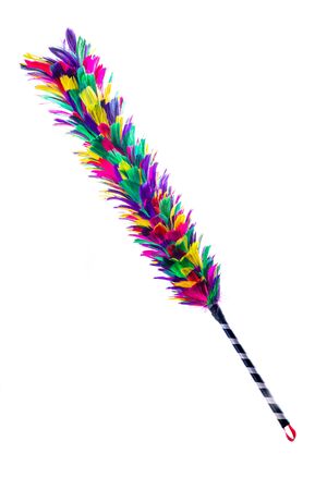 Closeup of colorful feather duster with isolated on white backgroundの写真素材