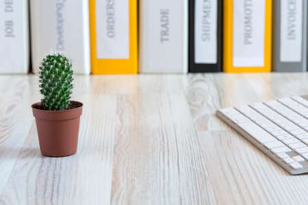 Office composition with cactus の写真素材