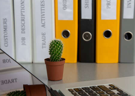 Office composition with cactus Office background with cropped laptop on the foreground, green plant in the centre and multiple coloured folders on the background. It is believed that cactus absorbs harmful radiationの写真素材