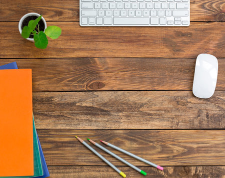 Business background with Computer Keyboard Mouse Pencils Color Booklets and Single Flower Growing in...