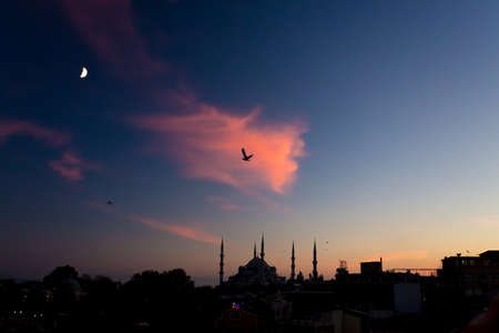 Twilight urban View of historical District of Istanbul City. Silhouettes of Sultan Ahmed Blue Mosque minor Buildings blue Sky and Sunset orange Clouds Moon Middle Phase in the corner Sea Gulls flyingの写真素材