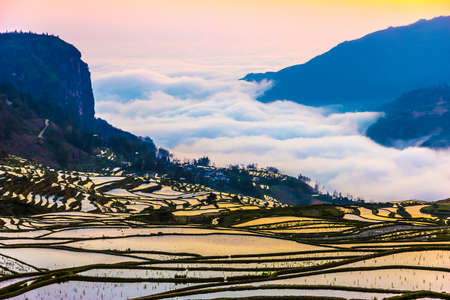 Terraced Rice Fields in Water Season in South China at Sunsetの写真素材