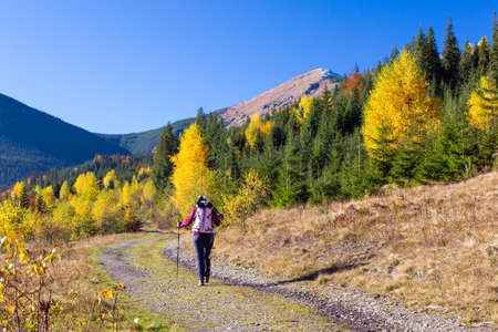 Female hiker walking on a pathway in a forestの写真素材