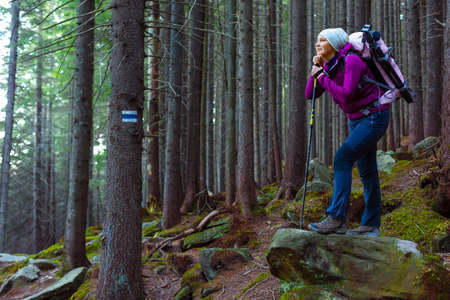 Female hiker taking a break in the forestの写真素材
