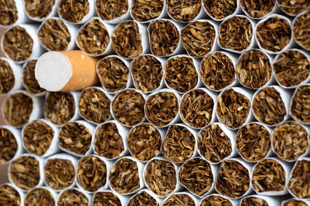 Heap of Tobacco Cigarettes Front View close upの写真素材