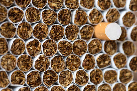 Heap of Tobacco Cigarettes Front View close upの写真素材