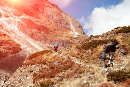 Group of Hikers walking up on Mountain Trail on Sunny Dayの写真素材
