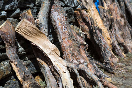 Row of Firewood at Mountain Nepal Villageの写真素材