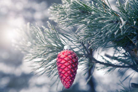 Branch of Christmas Tree outdoor decorated with red artificial Pine Knotの写真素材