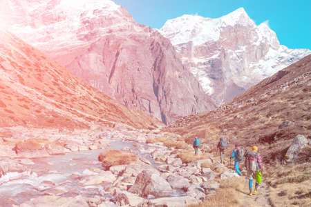 Group of Hikers walking in Mountains rear Viewの写真素材