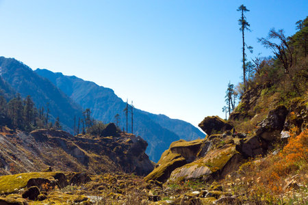 Mixed Spring forest and mountains view in Nepal Himalayas