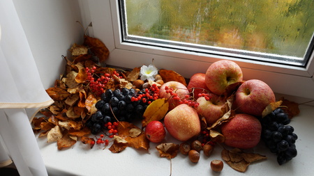 harvestの写真素材