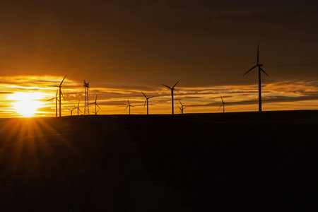 wind park during sunsetの写真素材