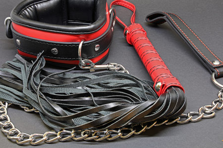 BDSM toys leather whip and collar