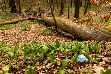 lost medical face mask lies between ramsons in a forest