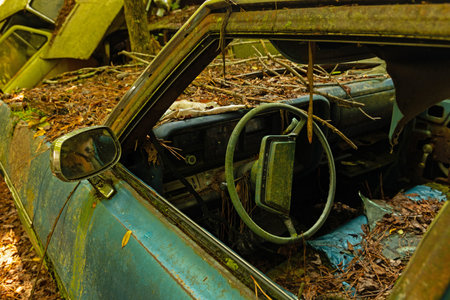 Abandoned Buick car in the forest, close-up view.のeditorial素材