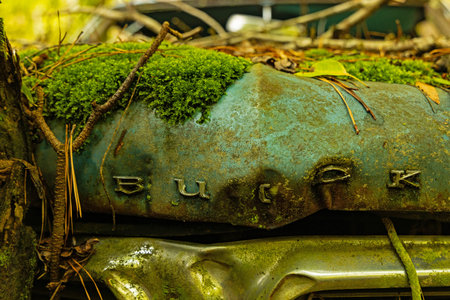 Old rusty buick car covered with moss and lichen, close-upのeditorial素材
