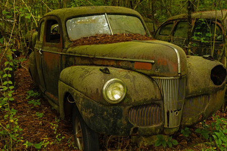Old rusty car in the forest. Old car in the woods.のeditorial素材
