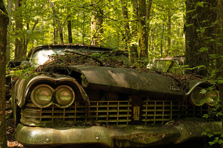 Abandoned car in the woods. Old rusty car in the forest.のeditorial素材