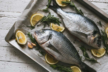 Fresh uncooked Dorado or sea bream fish with lemon and rosemary lie on a metal baking tray on the white wooden  backgroundの写真素材