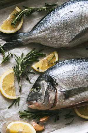 Fresh uncooked Dorado or sea bream fish with lemon and rosemary lie on a metal baking tray on the white wooden  background. Close upの写真素材