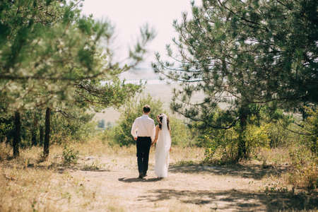 The groom in a white shirt and the bride in a wedding dress and veil go hand in hand over the sunny forest. Horizontalの写真素材