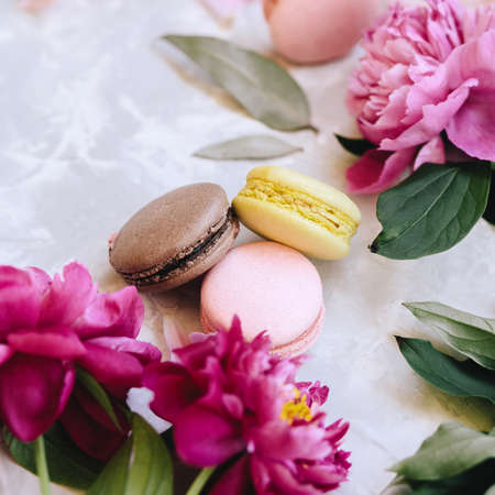 A composition of three multicolored macaroons and pink peony flowers. Close-up on a light background. Squareの写真素材
