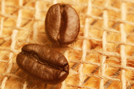 Coffee beans with sunlight on a rough sackingの写真素材