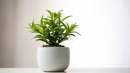 Indoor Small plant in pot on background, copy space, AI Generated, copy spaceの素材