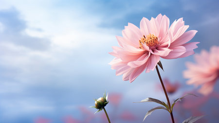 Beautiful Romantic scene - pink flower blossom in nature garden with clear sky, copy space.の素材